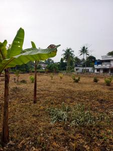 Image of 16552 Sq.ft Residential Plot / Land for sale in Thalayolaparambu, Kottayam for Rs. 14250000