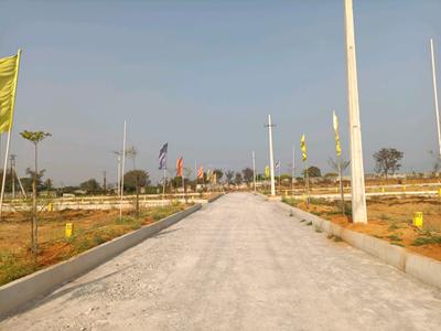 Residential Plot