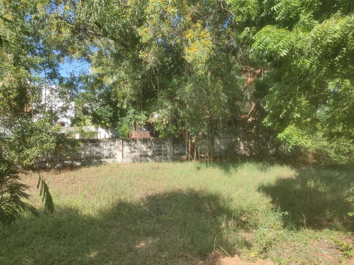 Kanathur, Uthandi Main Image 1