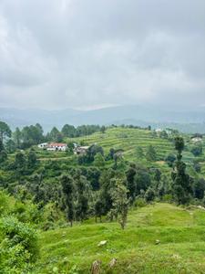 Image of 10000 Sq.ft Residential Plot / Land for sale in Mukteshwar, Nainital for Rs. 12500000