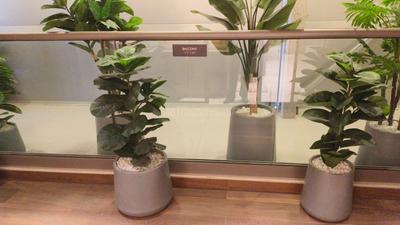 Balcony Image of 2435 Sq.ft 4 BHK Apartment / Flat for sale in Pristine The Lords, Pashan Pune for Rs. 39500000