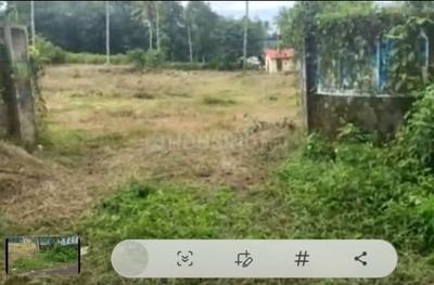 Image of 10000 Sq.ft Residential Plot / Land for sale in Kanakkary, Kottayam for Rs. 250000