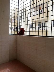 Drying Area Image of 1490 Sq.ft 3 BHK Apartment / Flat for rent in Ajantha Royal, Electronic City Bengaluru for Rs. 28000