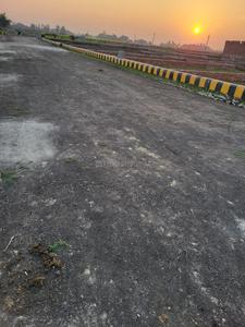 Sonaee Kazehra Plot View 3