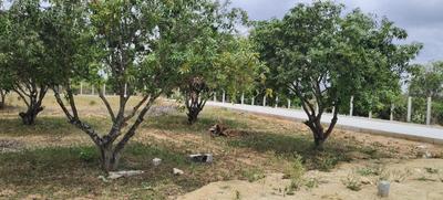 Image of 7623 Sq.ft Residential Plot / Land for sale in Narsapura, Kolar for Rs. 4573800