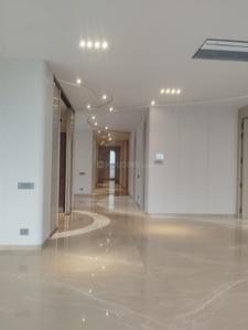 Hall Image of 3600 Sq.ft 4 BHK Builder Floor for rent in East Of Kailash New Delhi for Rs. 175000