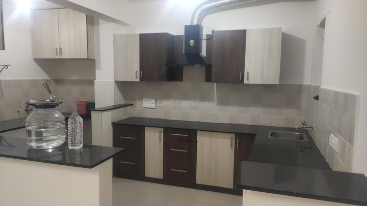 Chelli Poise Main Image 1