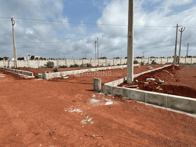 Thummaloor Plot View 2