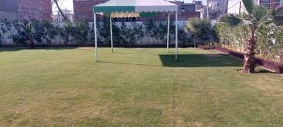 Image of 1650 Sq.ft 3 BHK Builder Floor for sale in Bollywood Essencia, Gazipur, Zirakpur for Rs. 8590000