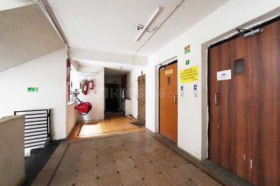 Main Entrance Image of 1170 Sq.ft 3 BHK Apartment / Flat for sale in Satellite Ahmedabad for Rs. 9500000