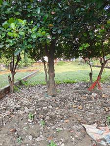 Image of 1000 Sq.ft Residential Plot / Land for sale in Kandwa, Varanasi for Rs. 4800000