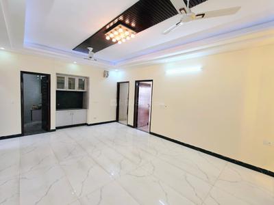 Hall Image of 7032 Sq.ft 9 BHK Independent House for sale in Sector 40 Gurgaon for Rs. 92500000