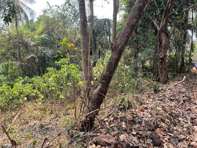 Image of 525 Sq.ft Residential Plot / Land for sale in Tivim, Goa for Rs. 16800000