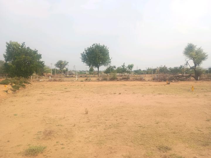 Sreenagar Main Image 1