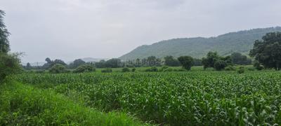 Image of 4000 Sq.ft Residential Plot / Land for sale in Simrol, Indore for Rs. 1200000
