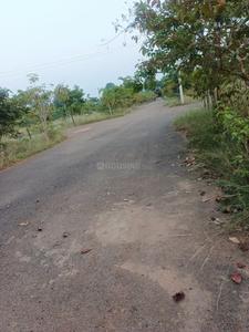 CSK GARDENS Plot View 2