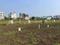 Wagholi Plot View 2
