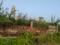Modipada Plot View 2