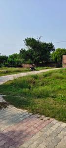 Image of 1000 Sq.ft Residential Plot / Land for sale in Sarnath, Varanasi for Rs. 5000000