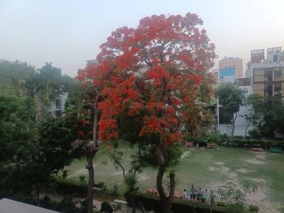 Bedroom Image of 1720 Sq.ft 3 BHK Builder Floor for sale in Preet Vihar New Delhi for Rs. 32500000