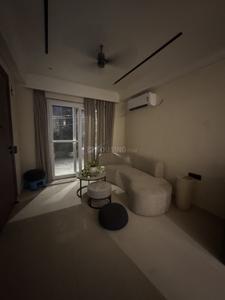 Living Room Image of 900 Sq.ft 2 BHK Builder Floor for rent in Sector 42 Gurgaon for Rs. 60000