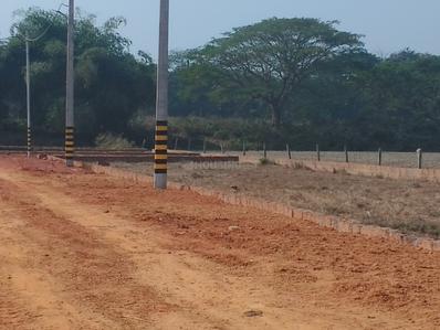 Balianta Plot View 3