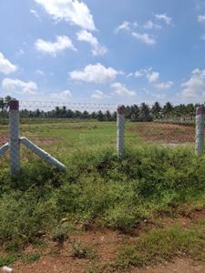 Image of 10018 Sq.ft Residential Plot / Land for sale in Palathurai, Coimbatore for Rs. 6500000