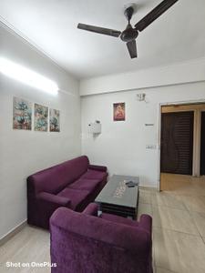 Hall Image of 530 Sq.ft 1 BHK Apartment / Flat for rent in Gaurs 14th Avenue, Noida Extension Greater Noida for Rs. 21000