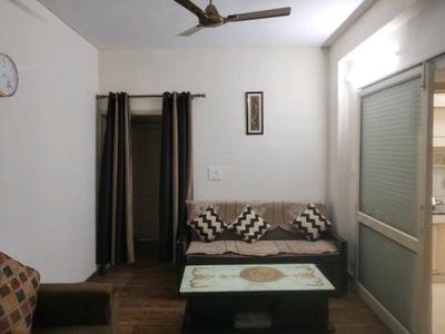 Living Room Image of 1000 Sq.ft 2 BHK Apartment / Flat for sale in Panchwati Apartment, Vikaspuri New Delhi for Rs. 14000000