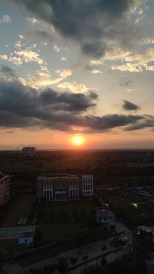 Balcony Image of V.K PG in Yeida, Greater Noida