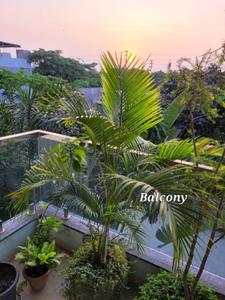 Balcony Image of 2700 Sq.ft 6 BHK Villa for sale in Satya Malwa County, Manglia Indore for Rs. 16000000