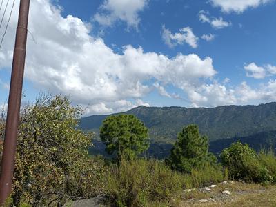 Image of 6450 Sq.ft Residential Plot / Land for sale in Mukteshwar, Nainital for Rs. 2700000