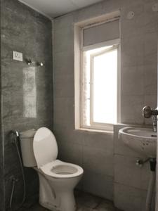 Common Bathroom Image of 1045 Sq.ft 3 BHK Apartment / Flat for sale in Amrapali Dream Valley 2, Noida Extension Greater Noida for Rs. 7800000