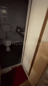 Image of clover trump in Sangamvadi, Pune