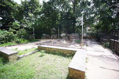 Image of 680 Sq.ft 2 BHK Apartment / Flat for sale in Kiwale, Pune for Rs. 7800000
