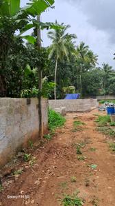 Image of 1350 Sq.ft 2 BHK Independent House for sale in Balaramapuram, Thiruvananthapuram for Rs. 6450000