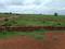 Krishna vihar Plot View 2