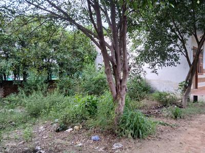 Image of 720 Sq.ft Residential Plot / Land for sale in Indirapuram, Ghaziabad for Rs. 3200000