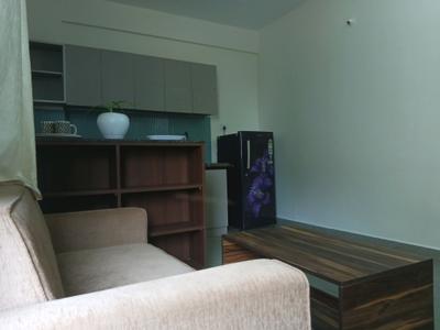 1 BHK Apartment