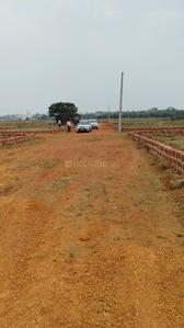 Tamando Plot View 1