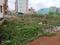 Pahala Main Image 1