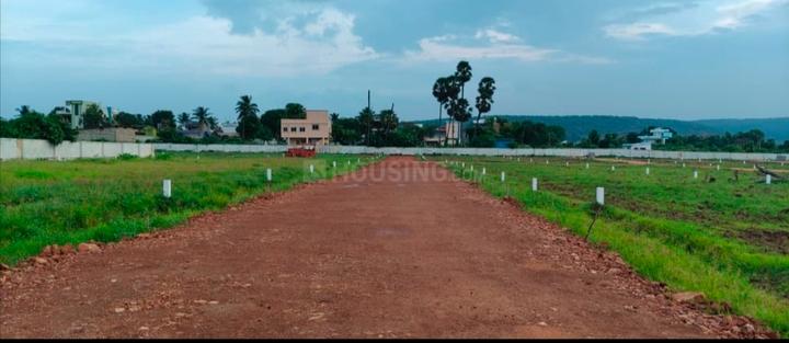 golden beach Main Image 1