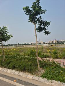 Image of 150 Sq.ft Residential Plot / Land for sale in Sector-02, Bahadurgarh for Rs. 15500000