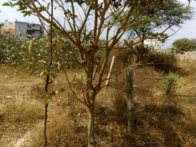 Image of 2680 Sq.ft Residential Plot / Land for sale in Jalahalli West, Bengaluru for Rs. 18000000