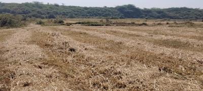Image of 110000 Sq.ft Residential Plot / Land for sale in Bangarapet, Kolar for Rs. 20000000