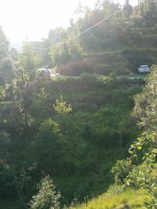 Image of 2160 Sq.ft 1 RK Independent House for sale in Plot In Mukteshwar, Satbunga, Nainital for Rs. 2600000
