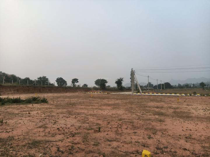 Amangal Main Image 1