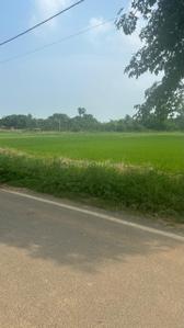 Image of 4083 Sq.ft Residential Plot / Land for sale in Phulwari Sharif, Patna for Rs. 24000000
