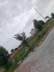 Image of 1000 Sq.ft Residential Plot / Land for sale in Balawala, Jaipur for Rs. 3200000
