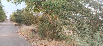 Image of 2400 Sq.ft Residential Plot / Land for sale in Lord Anant Empire Metro Colony, County Walk Township, Indore for Rs. 12000000
